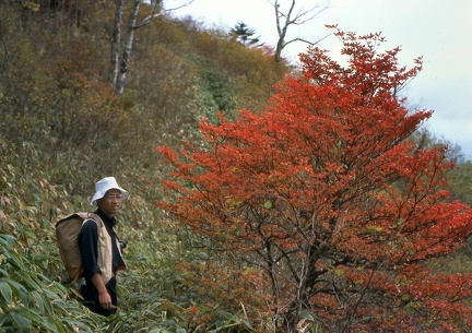 Image4