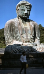 Image6