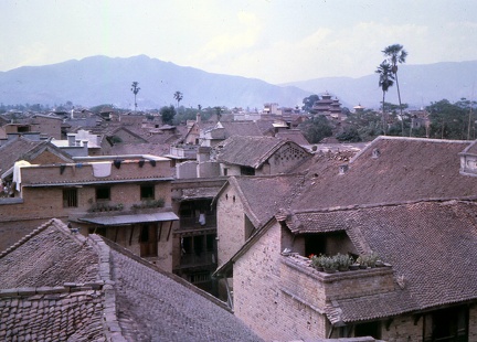 Image4