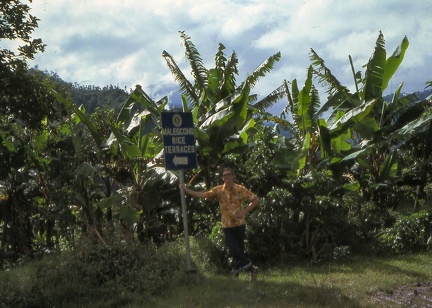 Image8
