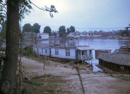 Image4
