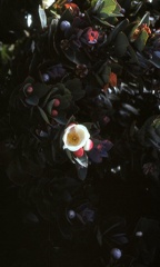 Image23