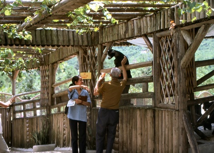 Image10