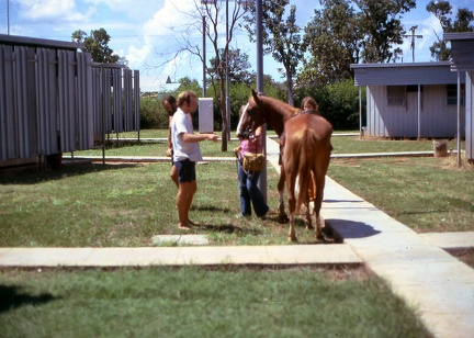 Image4